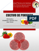 Cultivo de Pimiento