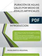 Depuración de Aguas Residuales Por Medio de Humedales