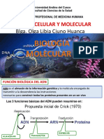 B-Celular y Molecular 2015 Xi Transcrip PDF