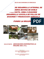Proyecto Integral de Produccion Agropecuaria La Mulera Ajustado
