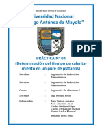 Informe N° 04