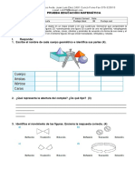 Prueba de Matemática Tercero Básico Unidad 6 Geometria