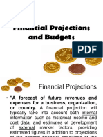 Module 4 Financial Projections and Budgets