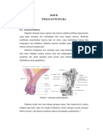 BAB II Anatomi Palpebra & Hordeolum