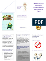Leaflet Penkes CICU PDF