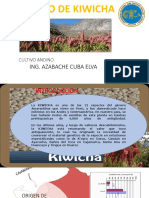 04 kiwicha