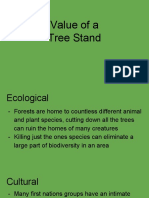Value of A Tree Stand