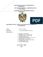 Caso Chimbote Contaminación Ambiental