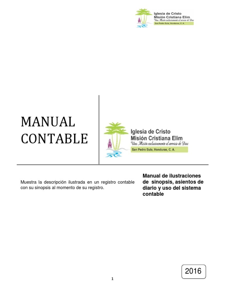 Manual Contable | PDF | Estado financiero | Contabilidad