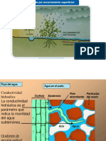 clase agua en suelo 11 (1).pdf