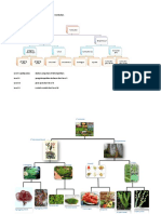 Struktur data Tugas Pohon