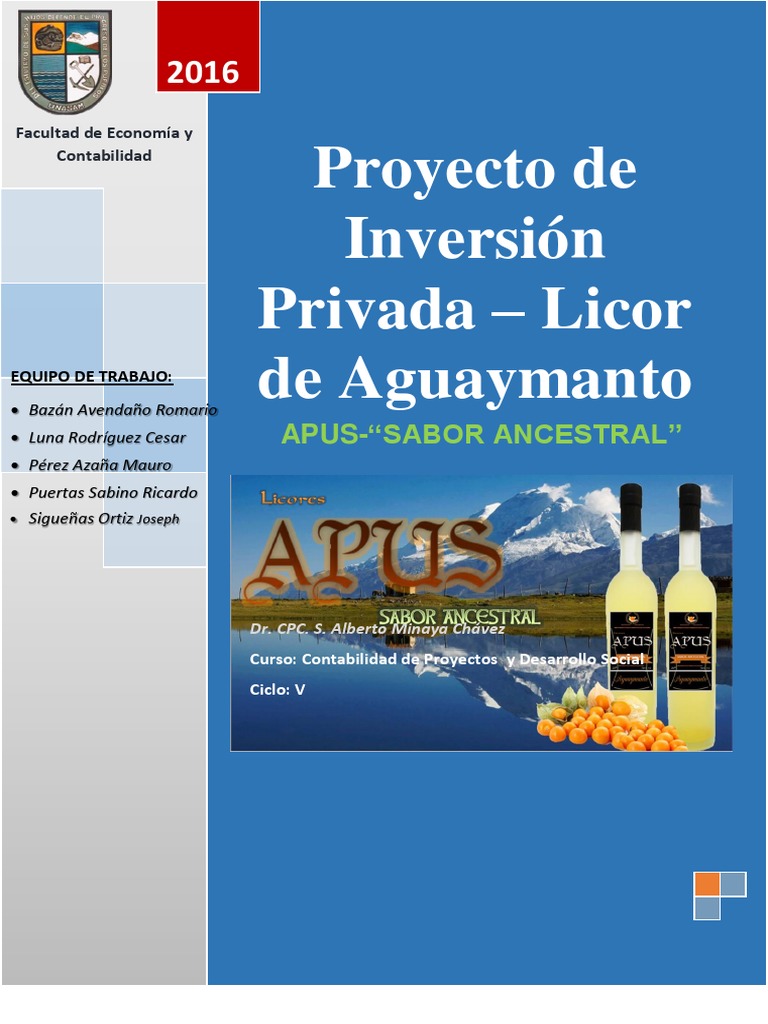Proyecto de Inversion Privada - Licor de Aguaymanto | PDF | Sociedad de ...