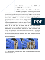 Detection of Dual Infection of Infectious Myonecrosis Virus and Hepatopancreatic Microsporidiosis in Farmed Shrimp