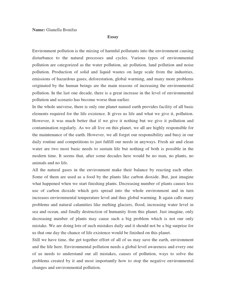 essay on environmental protection