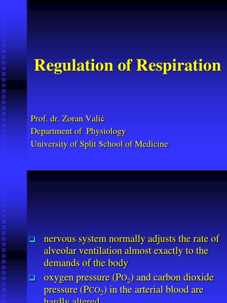Regulation of Respiration Overview | PDF | Breathing | Sleep Apnea