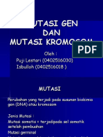 mutasi-gen-dan-mutasi-kromosom.ppt