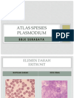 Atlas Spesies Plasmodium