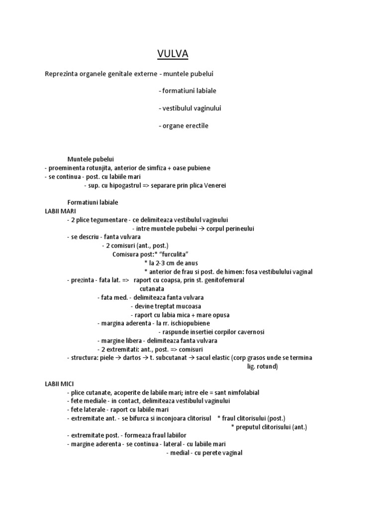 Vulva | PDF