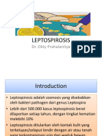 Leptospirosis Imunology