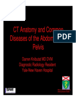 Anatomy & Diseases of Abdomen - Knibutat