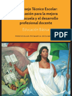 El CTE una ocasión para la mejora.pdf