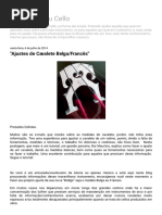 Ajustes de Cavalete Cello