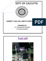 Fuel Cell and It's Application