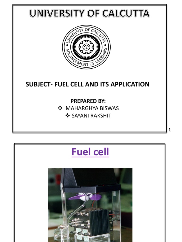 Fuel Cell and It's Application | PDF | Fuel Cell | Proton Exchange ...