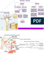 Portafolio III Unidad