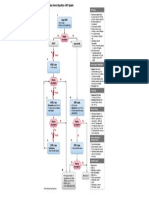 ACLS Cardiac Arrest Algorithm