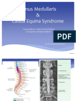 Ortho Conus Medullaris and Cauda Equina Syndrome
