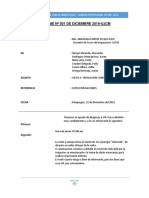 Informe Nº 001 de Diciembre 2016