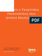 Desafios À Trajetória Profissional Dos Jovens Brasileiros PDF