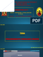 PROCEDIMIENTO ORDINARIO MINERO