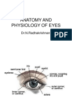 Anatomy and Physiology of Eyes (Physiotherapy)