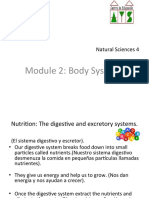 Unit 2 4º Body Systems Printable Red