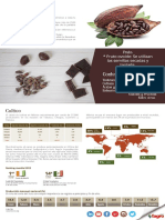 Infografía Del Cacao