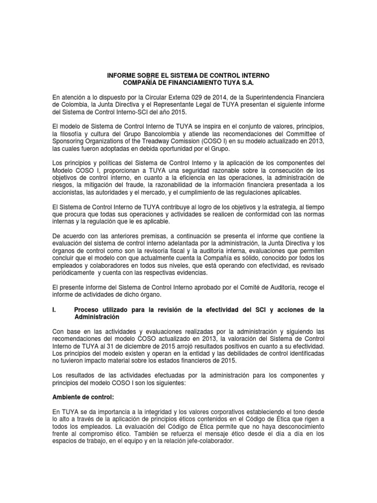 Informe sobre Sistema de Control Interno 2015 | PDF | Auditoría ...