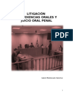 Audiencias Orales y Juicio Oral Penal (1)