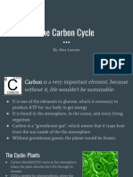 The Carbon Cycle