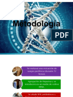 Métodología