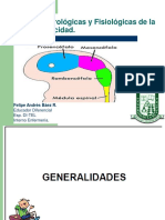 CLASE 3 PSICOMOTRICIDAD Bases Neurologicas y Fisiologicas de La Psicomotricidad.