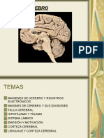 El Cerebro PNL