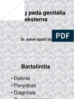 RADANG GENETALIA EKSTERNA