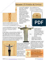 Infografia Proporciones Humanas El Hombre de Vitruvio