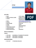 Curriculum Vitae