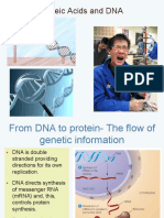 Nucleic Acids and DNA: Campbell, Reece, Meyers Biology 8e © 2009 Pearson Education Australia