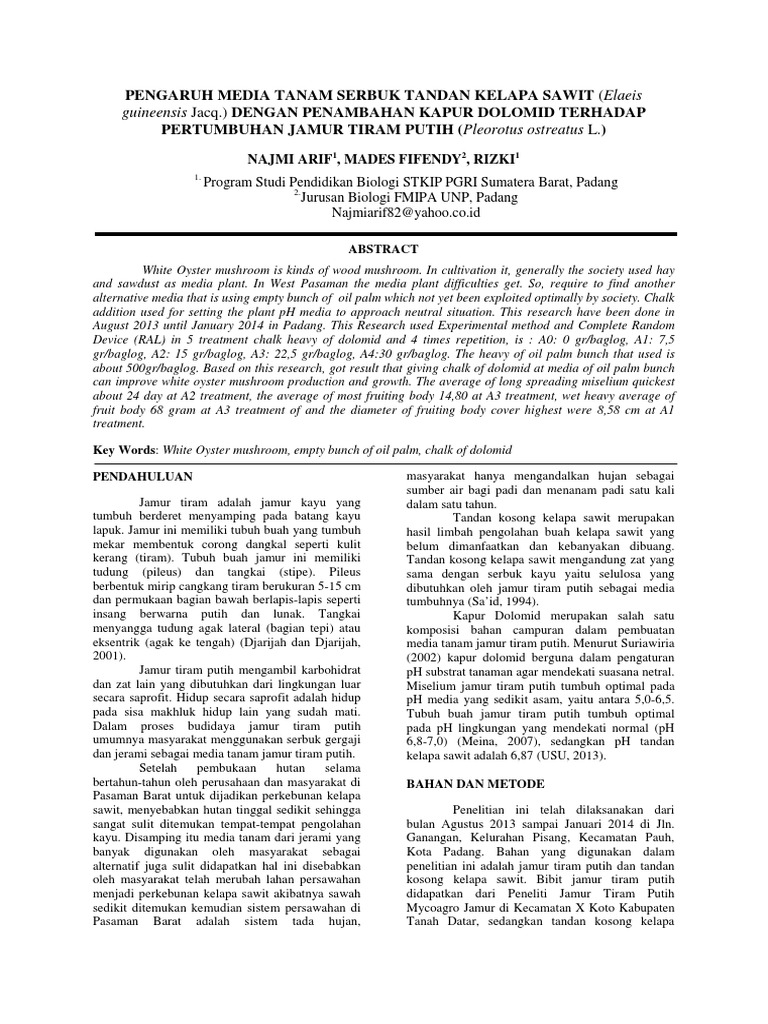 Khasiat Jamur Sawit Untuk Kesehatan Aflah Sentosa
