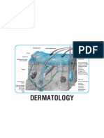 Understanding Primary Skin Lesions and Basics of Dermatology