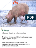 Swine Flu 1.pps
